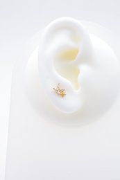 Piercing d'oreille en acier inoxydable.