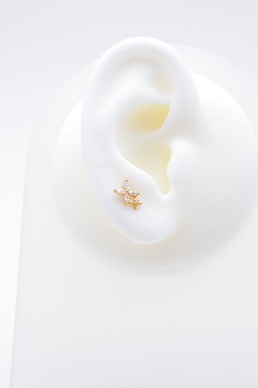 Piercing d'oreille en acier inoxydable.