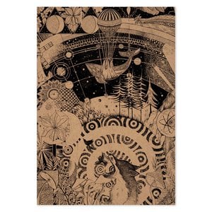 Notebook - cosmos