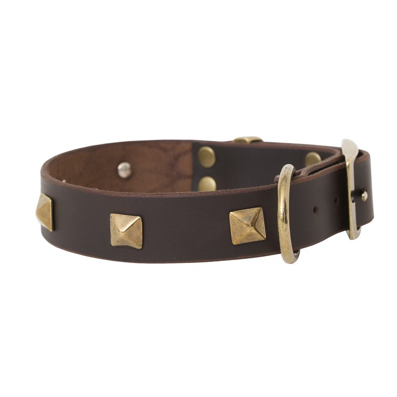 Collar per cani in pelle morbida dal marchio di cuccioli soffici, rivetti decorativi tra cui scegliere, made a mano!