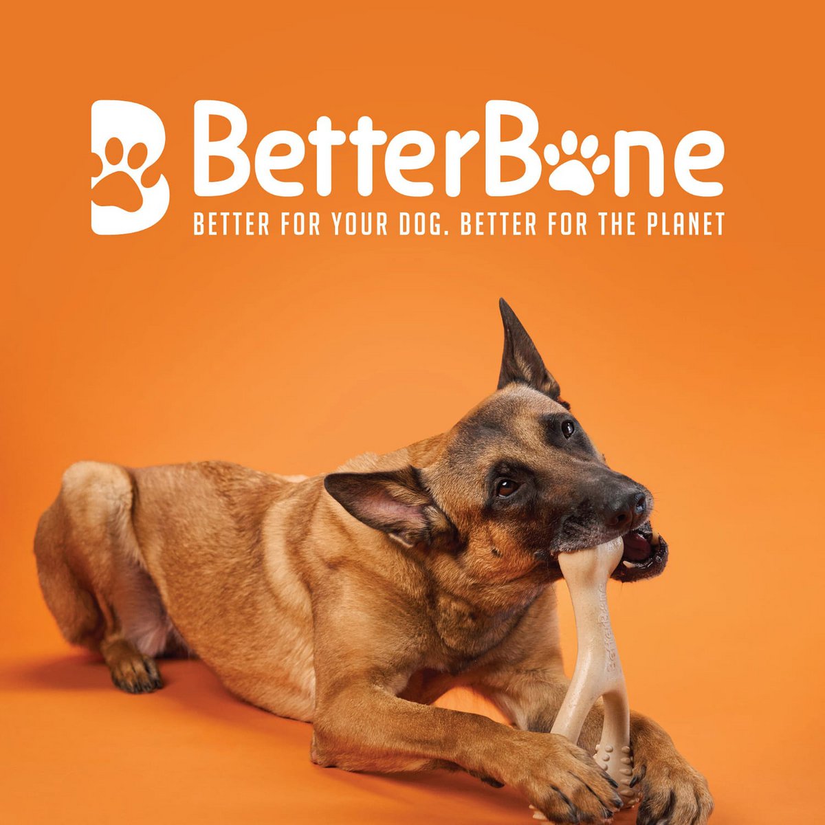 BetterBone Dogs Kauchen -SSmall Hard Classic (zonder nylon, CO2 neutraal gemaakt in Europa)