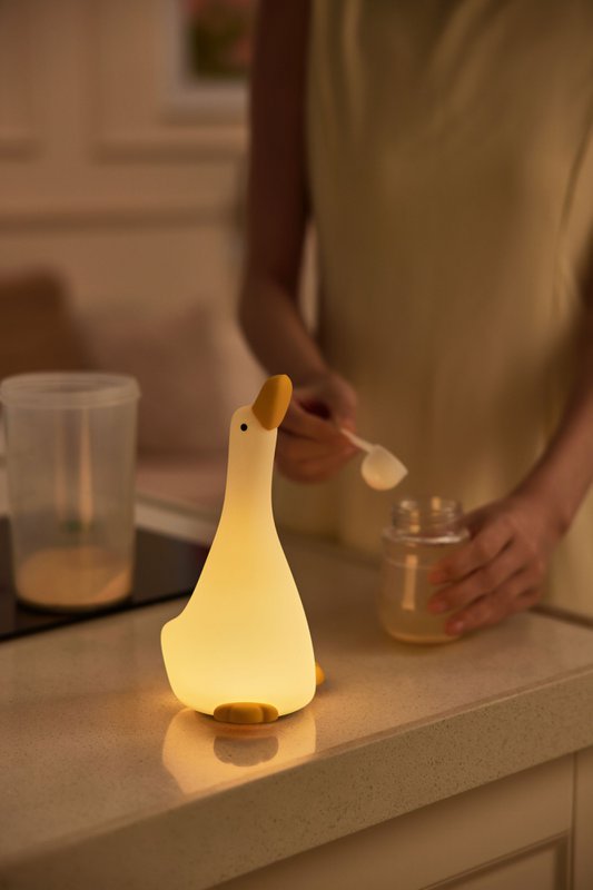 Night light goose with 3 positions and 30 minutes timer