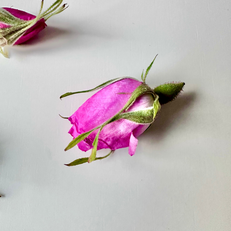 AUTHENTIC ROSA DAMASCENA FRAGRANCE | NATURAL SCENTED MINI CANDLE