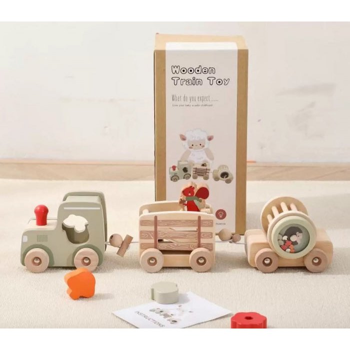 Wooden Train Learning Toy