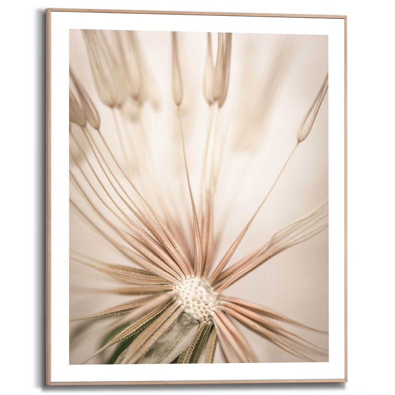 Painting Slim Frame Dandelion 50x40