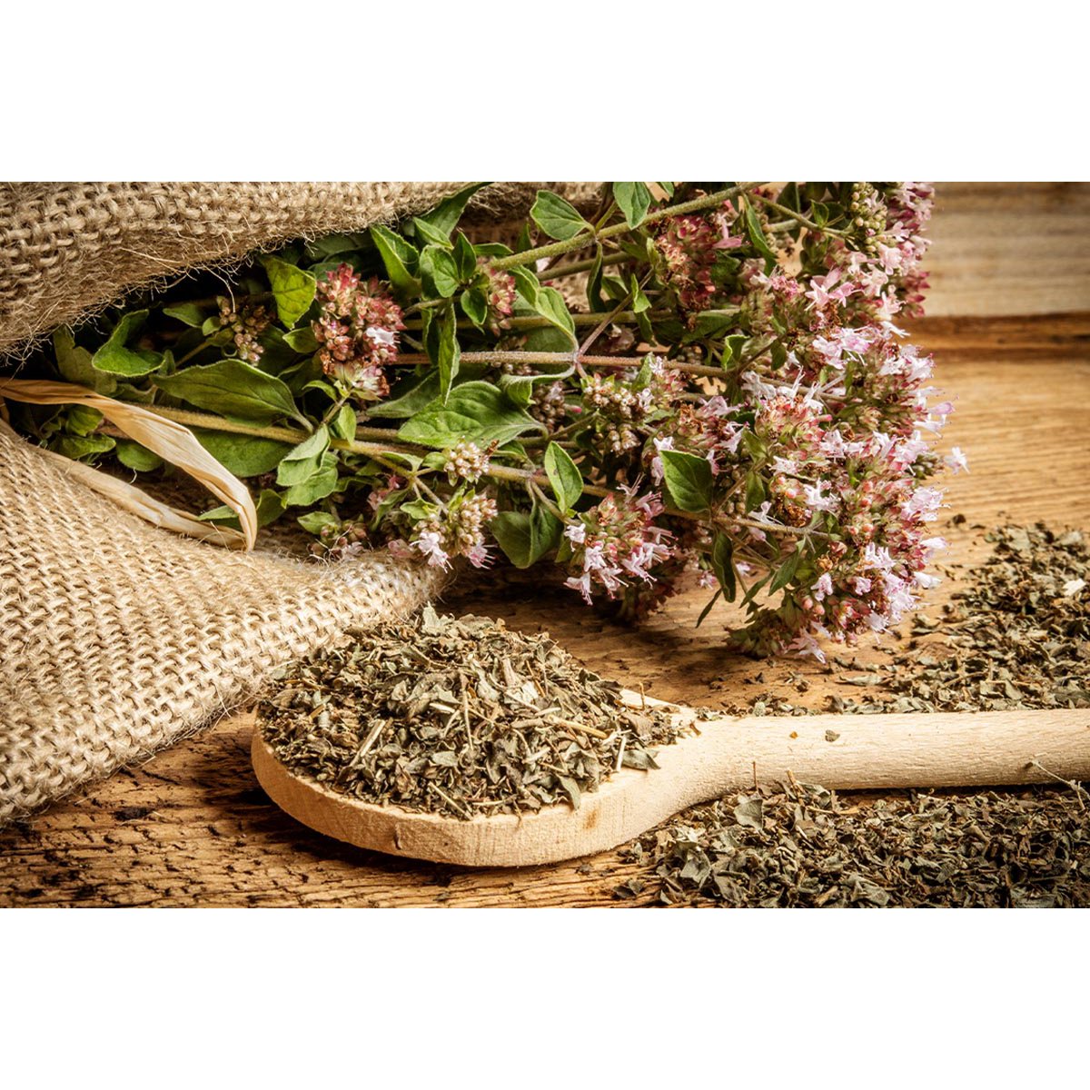 Greek Oregano 25g