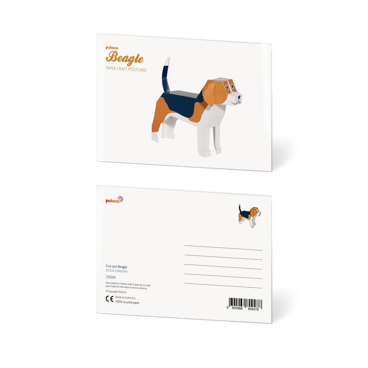 Beagle Postcard