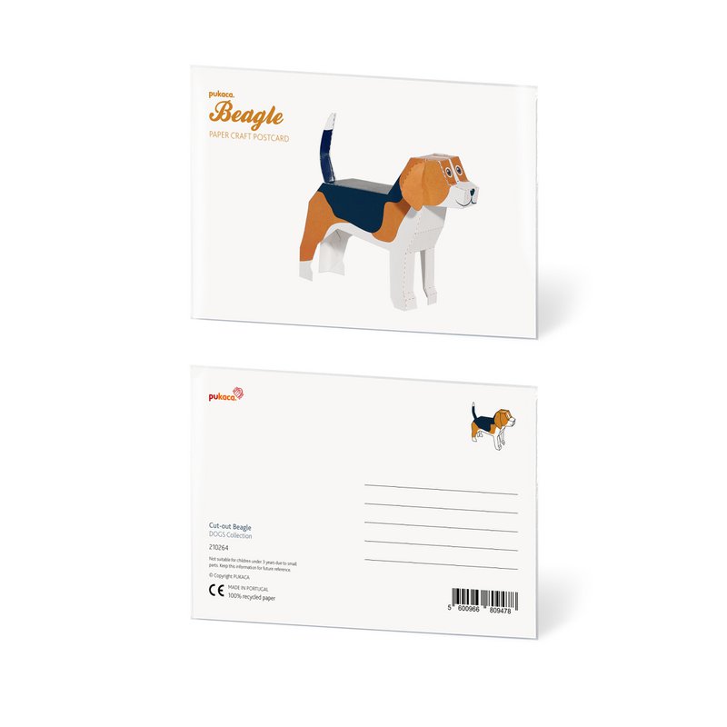 Beagle Postcard