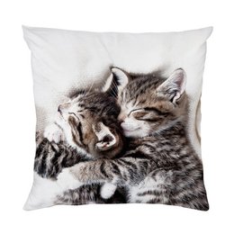Pillowcase - cats