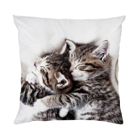 Pillowcase - cats