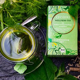 Creano Bio Wellness-Tee 20er Pack Teebeutel
