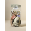 Sweet Rose Gift Set (packaged in 5 pieces).