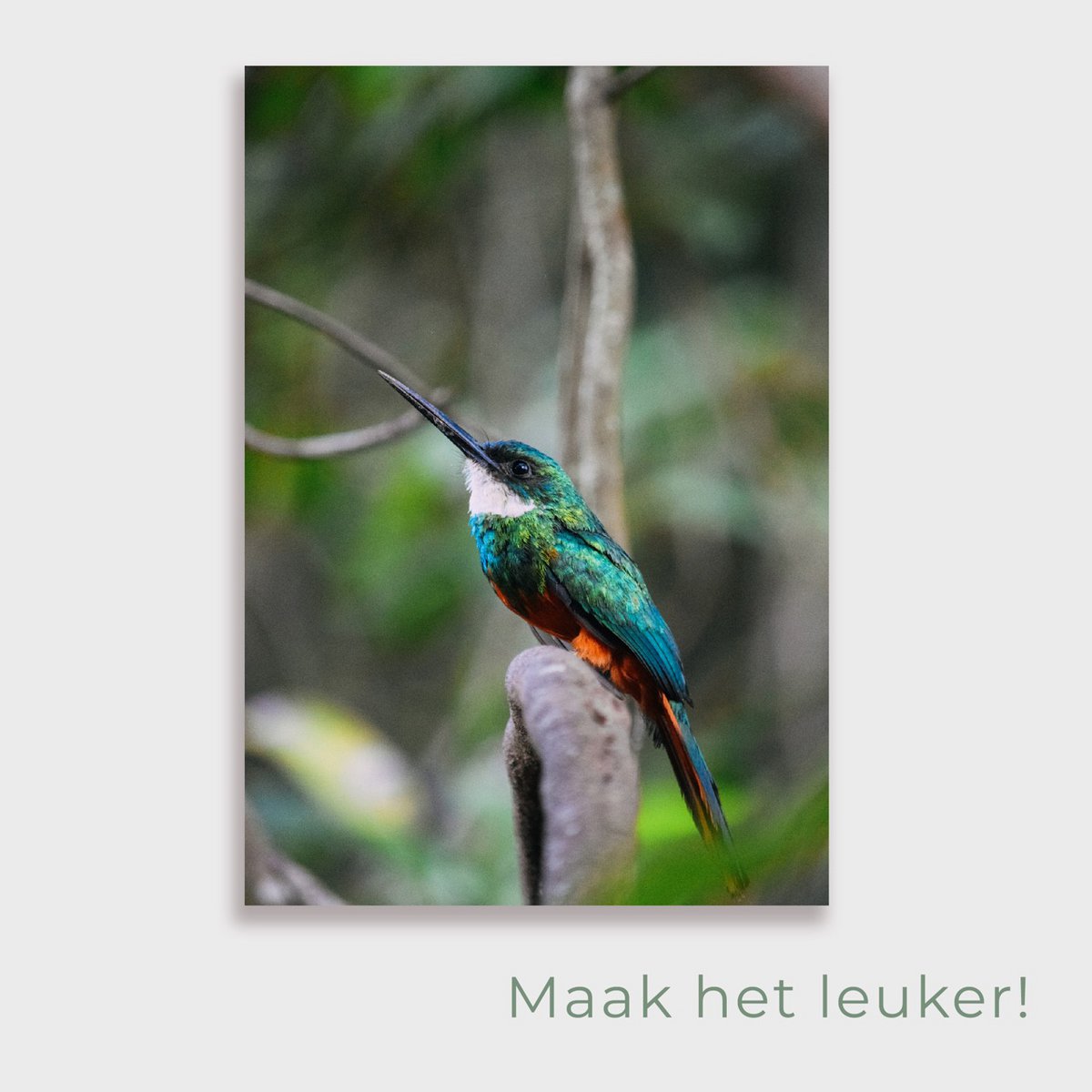 Tuinposter Tropical Bird