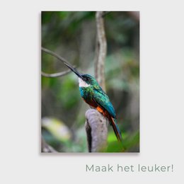 Tuinposter Tropical Bird