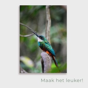 Poster Tropischer Vogel
