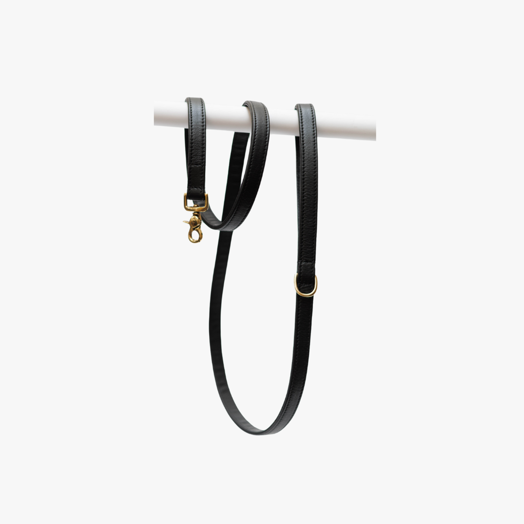 Laisse pour chien finition laiton - Premium - Noir