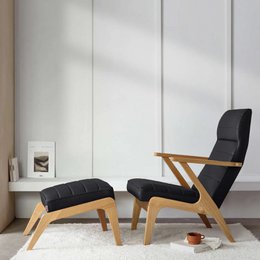 Apollo Lounge Sessel - Leder