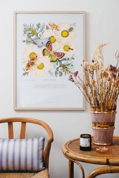  Colorful floral poster featuring a variety of wild daisies and butterflies. The poster showcases the natural beauty of the daisy flowers with their vibrant yellow centers and delicate white petals, complemented by the presence of butterflies in various hues.