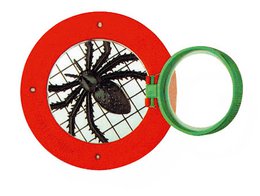 Insect magnifying glass