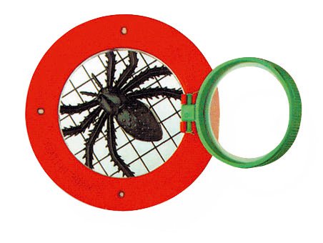 Insect magnifying glass