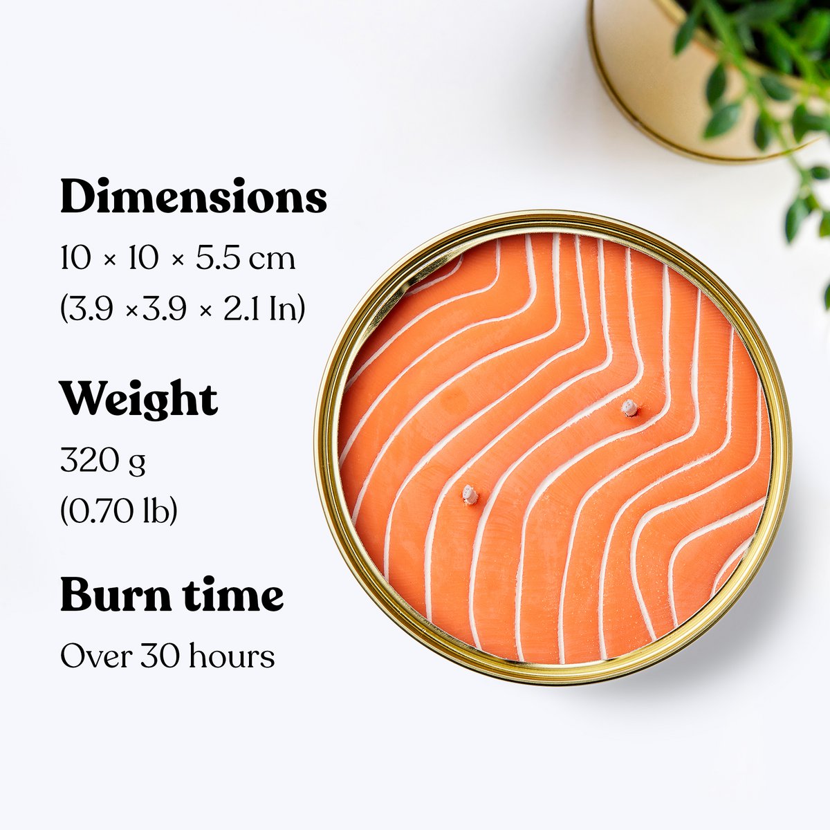 Vela Salmon NaranjaLata