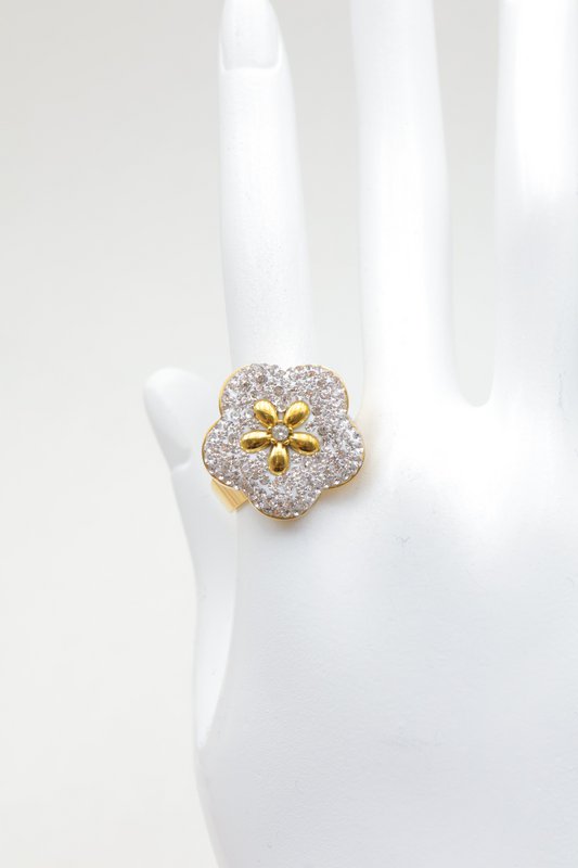 Bague en acier inoxydable ajustable