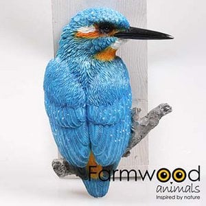 BIRD KINGFOR WALL 14X5X19 CM