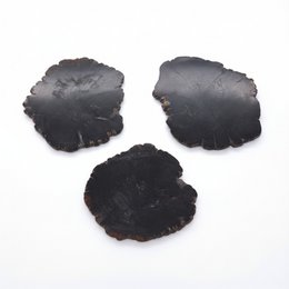 Organic Petrified Wood Coaster