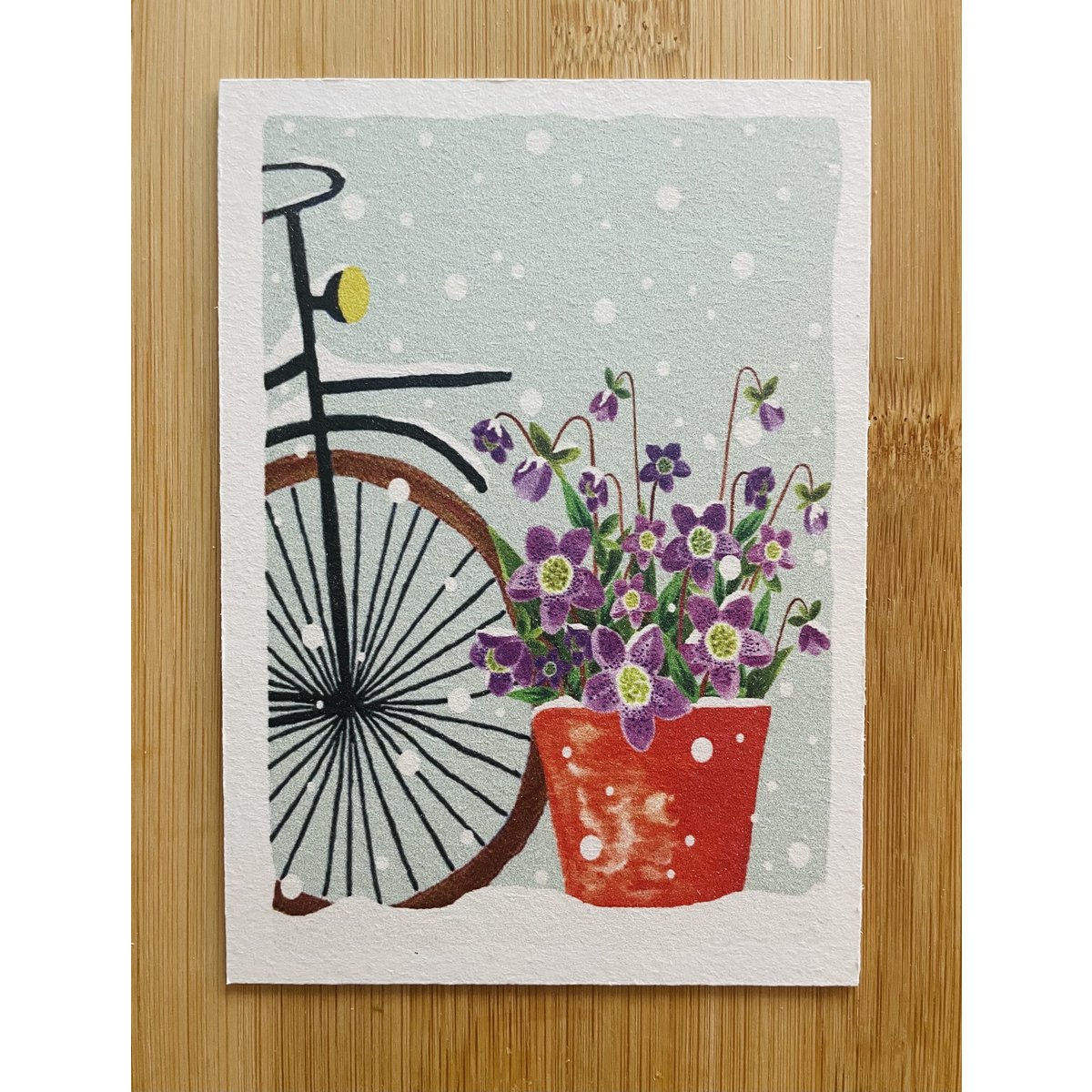 Helleborus dans la carte en carton de neige