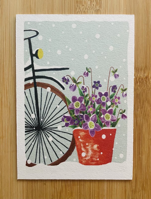 Helleborus dans la carte en carton de neige