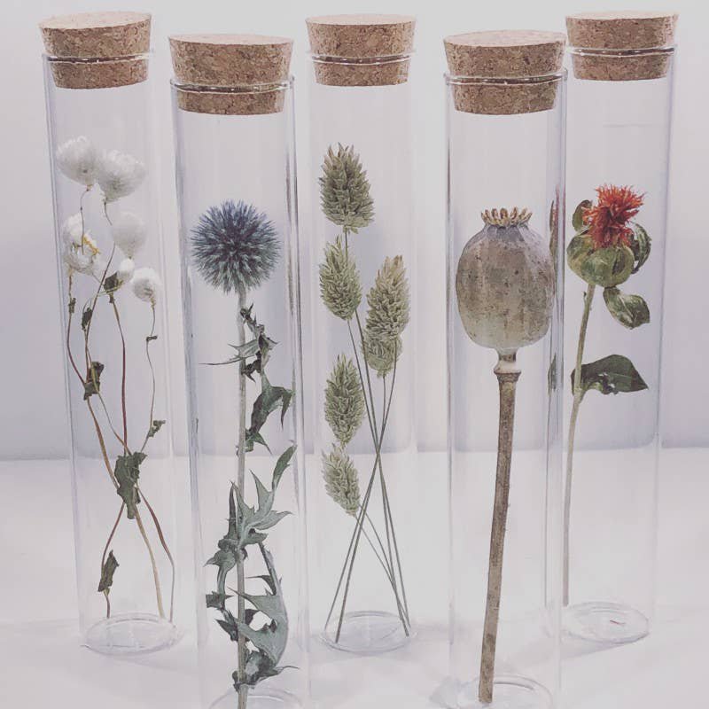Tube 20 cm med tørret blomst - gave