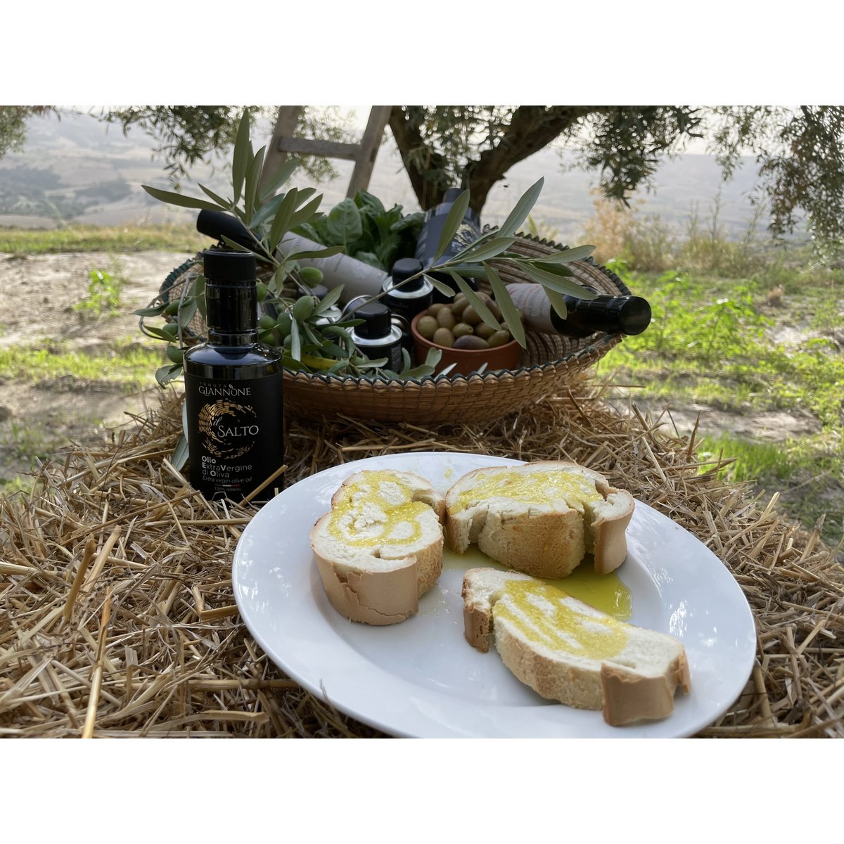 ITALIA | SICILIA | Extra Virgin Olive Oil - il SALTO | Bag in Box 5 LT