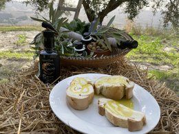 ITALIA | SICILIA | Extra Virgin Olive Oil - il SALTO | Bag in Box 5 LT