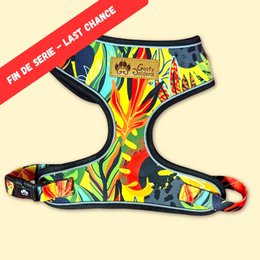 Tropical Classic Harness