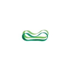 Pura silicone bands for lunch box - mint+moss 2 pieces