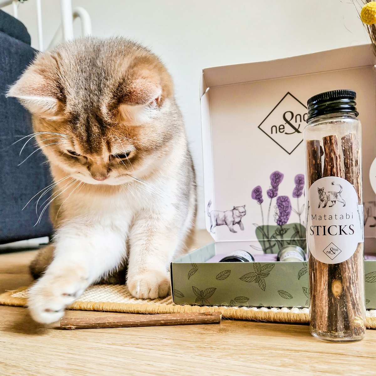 ne&no® Geschenkset Katzen Wohlfühlkräuter: Katzenminze + Baldrian Spray +  Matatabi Sticks