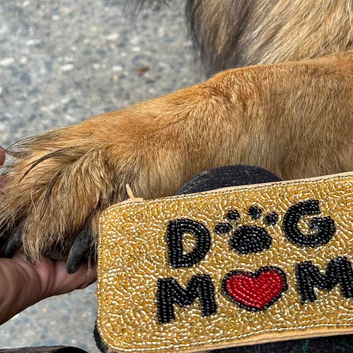 Handcrafted Beaded Dog Mom Pouch * Gift *