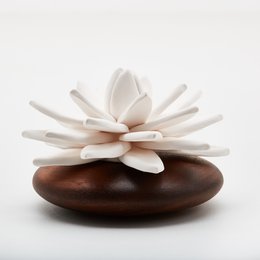 Indian Lotus fragrance diffuser