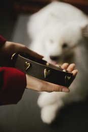 Blød læderhund krave fra det fluffy hvalpemærke, dekorative nitter at vælge imellem, håndlavet!