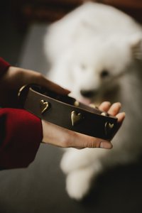 Soft leather dog collar from the Fluffy Puppy brand, decorative rivets to choose from, hand made!