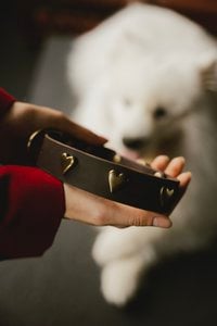 Soft leather dog collar from the Fluffy Puppy brand, decorative rivets to choose from, hand made!
