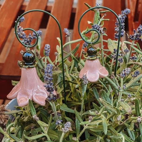 Campanula + bastone