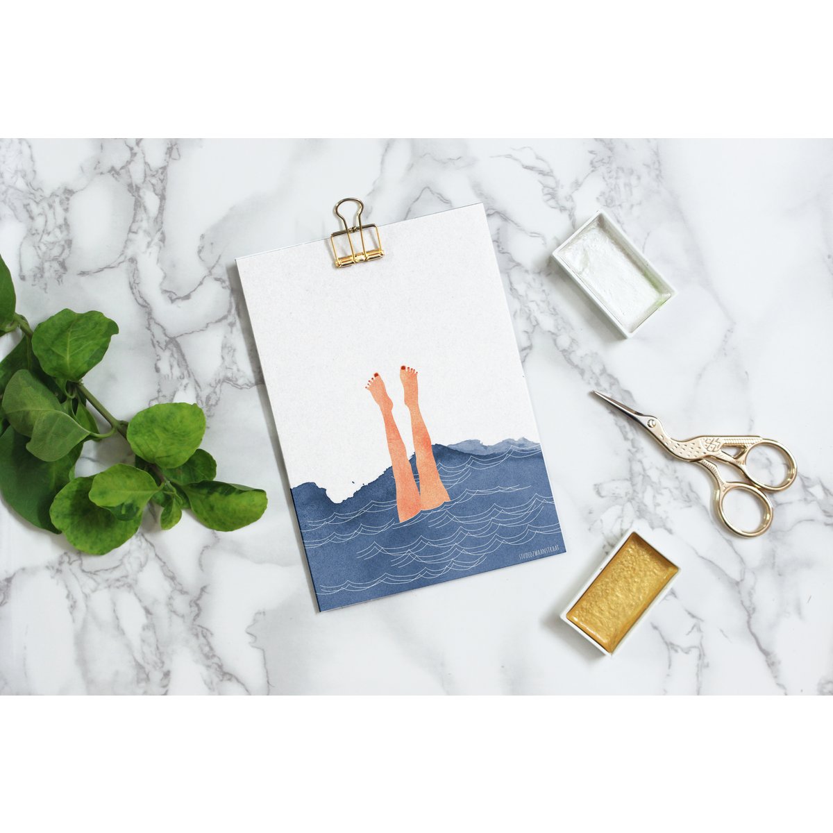 postcard 'sealife'
