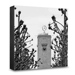 A black and white photograph of a clock tower surrounded by branches and leaves, creating a striking contrast between the architectural structure and the natural elements.