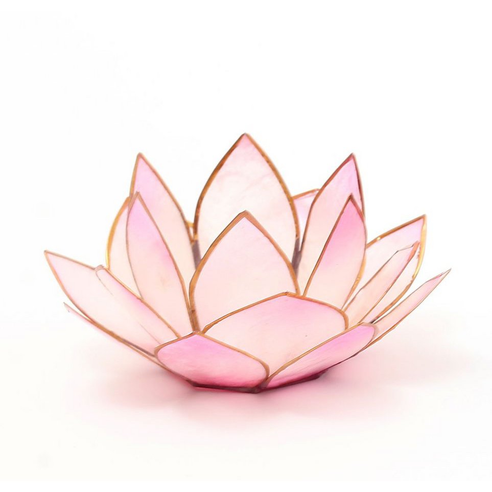 Lotus-Licht "Sonnenaufgang" soft rosé