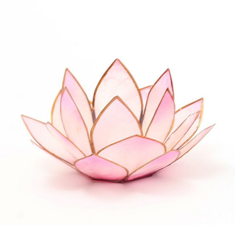 Lotus-Licht "Sonnenaufgang" soft rosé