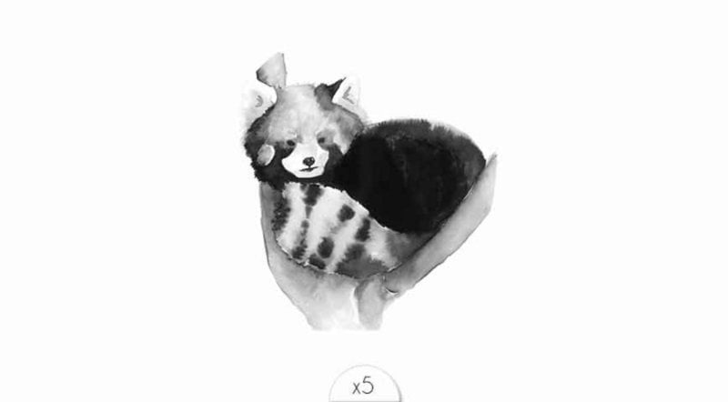 Tymczasowy tatuaż: czerwona panda