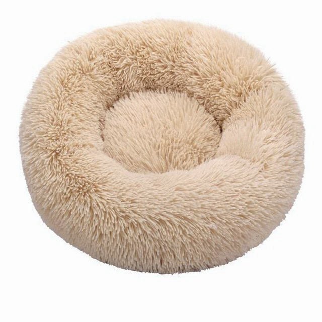 Bed cushion pets