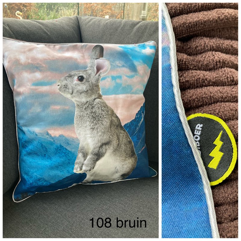 Housse de coussin 50x50cm - Lapin