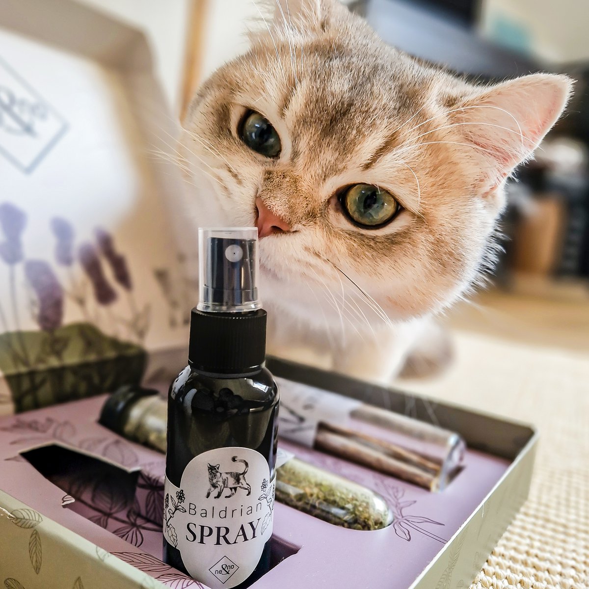 ne&no® Geschenkset Katzen Wohlfühlkräuter: Katzenminze + Baldrian Spray +  Matatabi Sticks